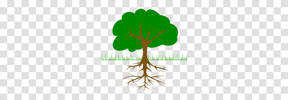 Tree Free Clipart, Root, Plant, Poster, Advertisement Transparent Png