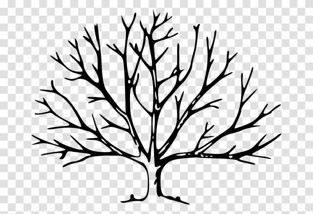 Tree Free Download Vector, Gray, World Of Warcraft Transparent Png