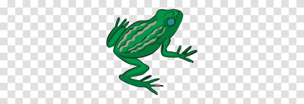 Tree Frog Clipart Frog Leg, Animal, Amphibian, Wildlife Transparent Png