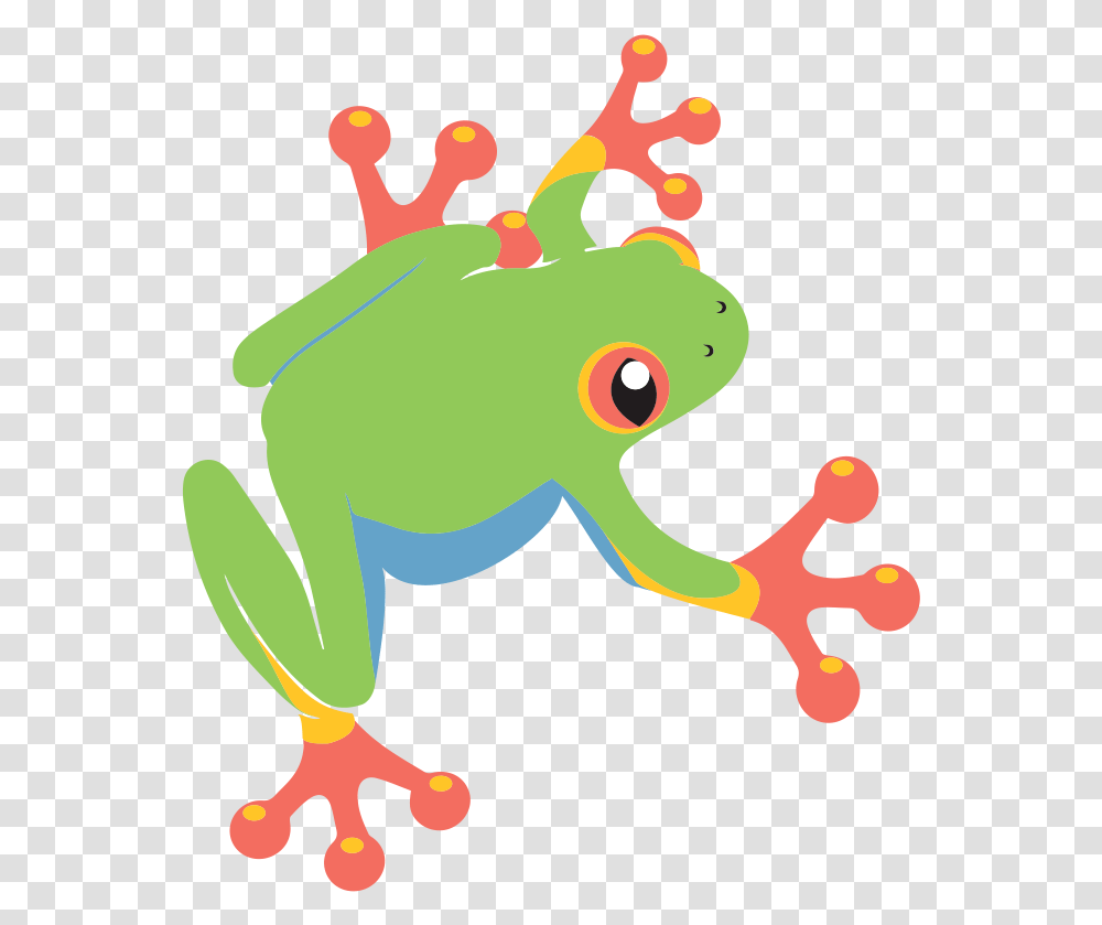 Tree Frog The 1 Organic Instagram Growth Service Cartoon Clipart Tree Frog, Amphibian, Wildlife, Animal Transparent Png