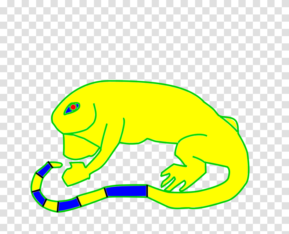 Tree Frog Toad Reptile Fauna, Gecko, Lizard, Animal, Amphibian Transparent Png
