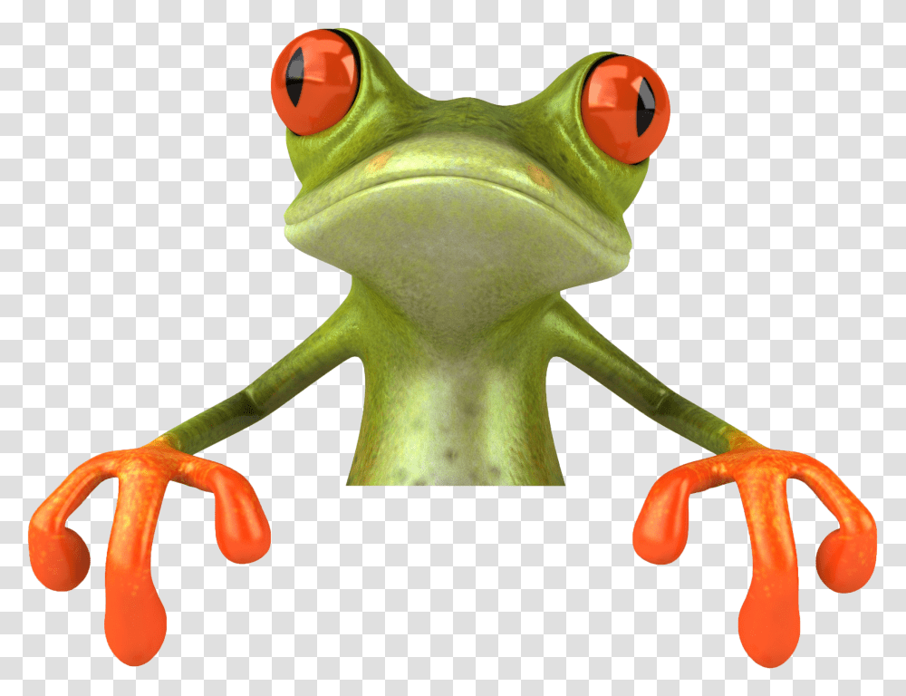 Tree Frogs With Glasses, Amphibian, Wildlife, Animal, Hammer Transparent Png