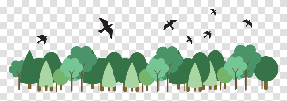 Tree From Above Birds Above The Tree, Animal, Flying, Plant, Silhouette Transparent Png