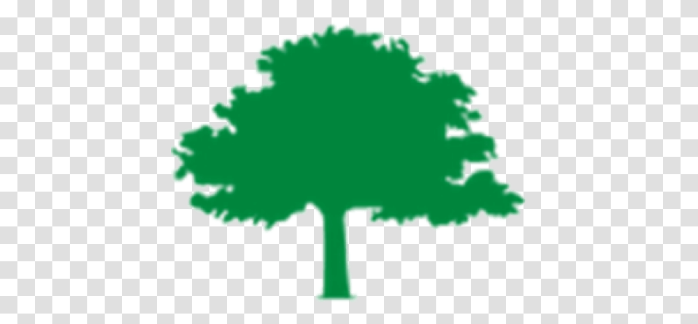 Tree Fund Organization Funding Urban Forestry Pruning Big Tree Inn Geneseo Ny Logo, Plant, Leaf, Flower, Blossom Transparent Png
