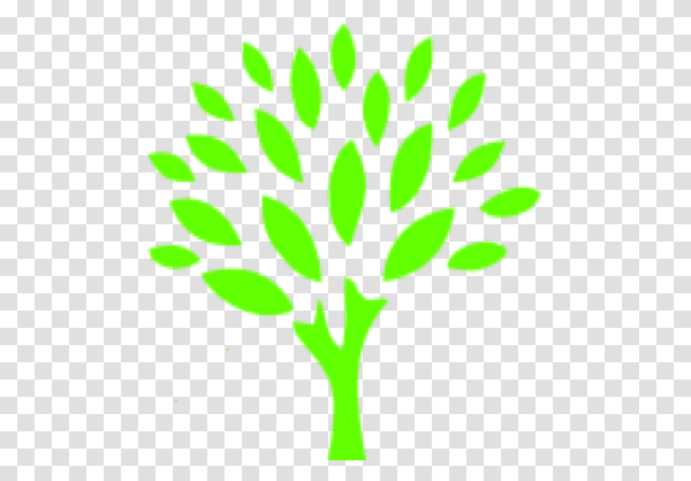 Tree Go Green Auto Spa, Plant, Food Transparent Png
