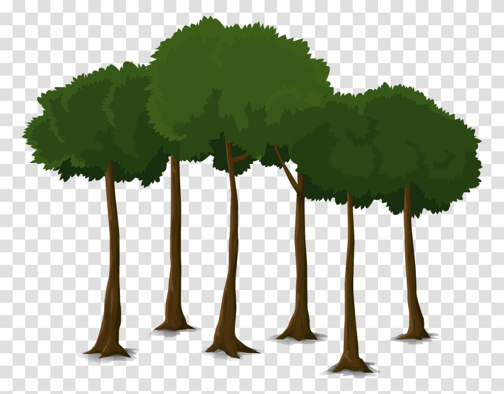 Tree Graphic 5 Image Trer, Plant, Palm Tree, Vegetation, Lighting Transparent Png