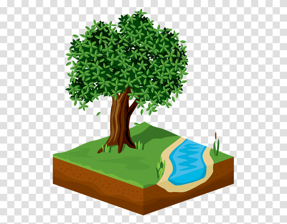 Tree Green Foliage Nature River 3d Ecology Tree, Vegetation, Plant, Land, Outdoors Transparent Png