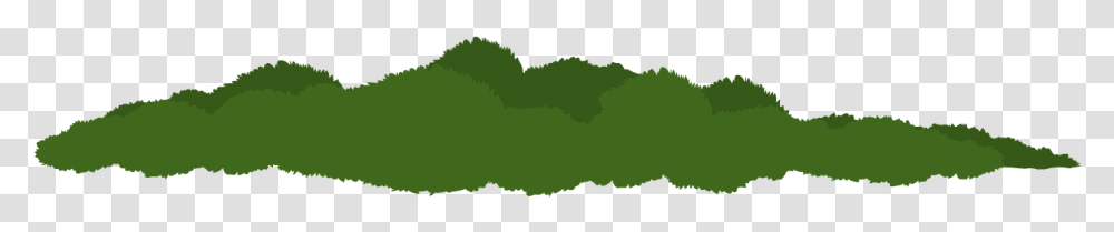 Tree, Green, Vegetation, Plant, Land Transparent Png