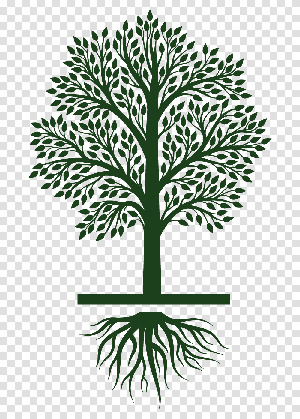 Tree Growing Clipart, Plant, Palm Tree, Arecaceae, Leaf Transparent Png