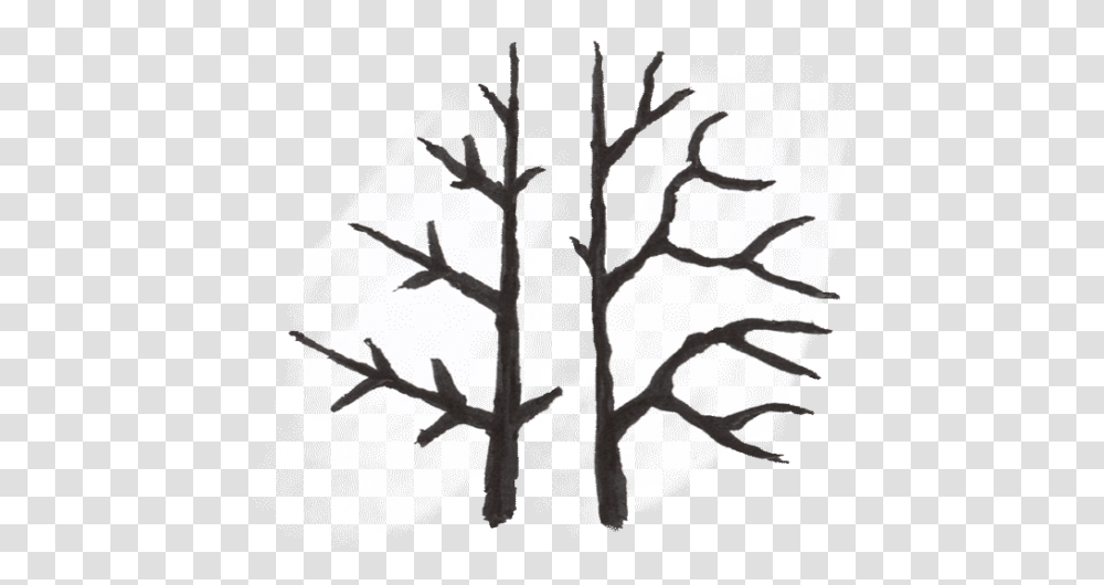 Tree Growing Software, Silhouette, Plant, Stencil, Bird Transparent Png