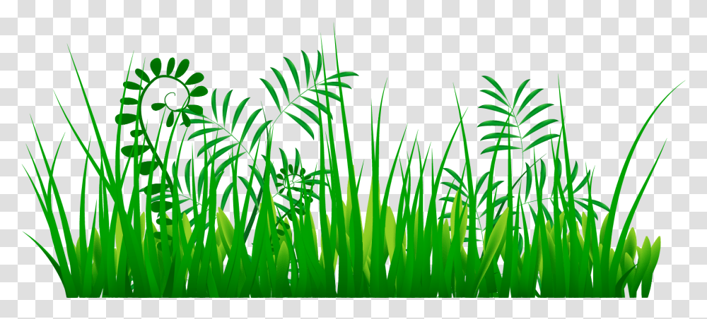 Tree Growth Clipart Vector Plant Clipart Clip Art, Green, Grass, Lawn, Vegetation Transparent Png