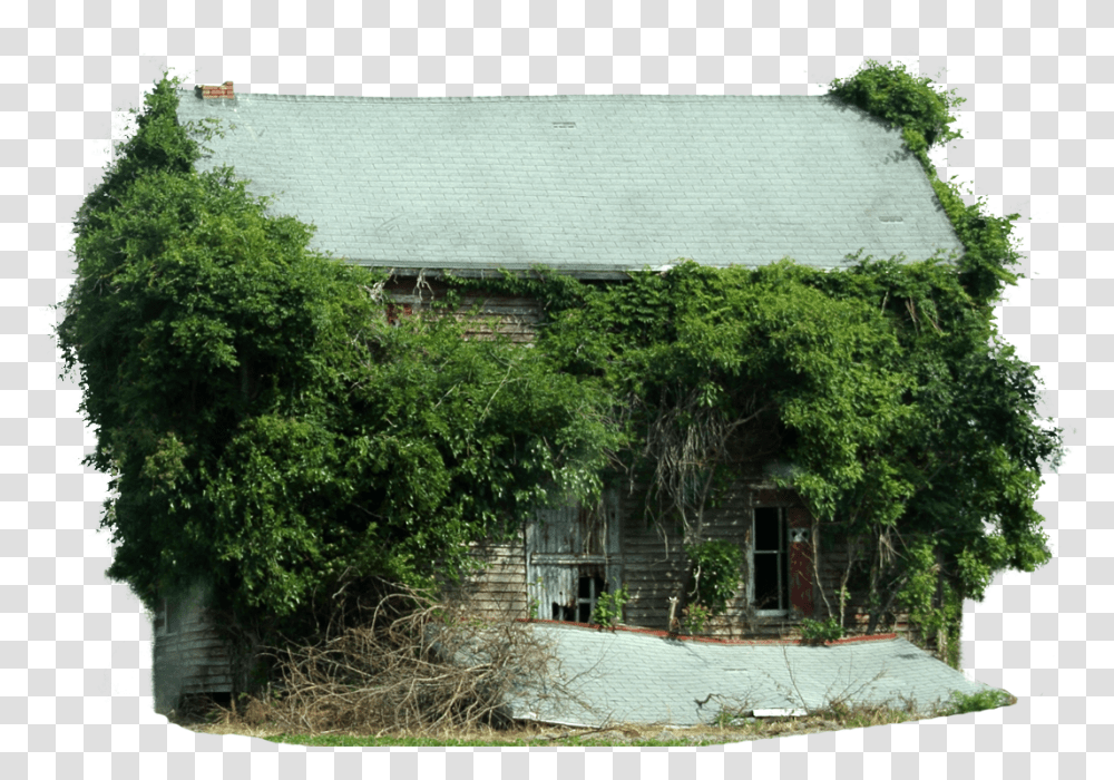 Tree House 1280x961 Pixels V36 Photo Tree House, Nature, Outdoors, Building, Shack Transparent Png