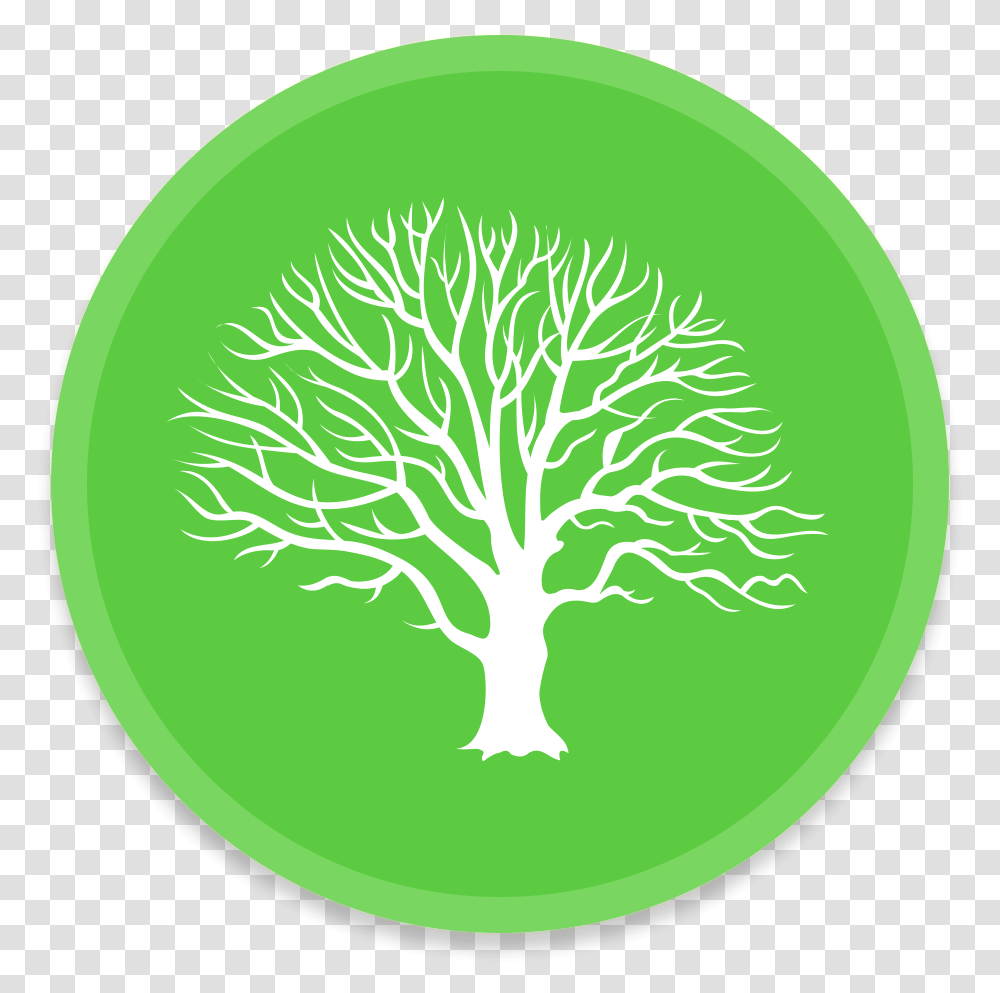 Tree Icon 37324 Free Icons Library, Label, Text, Outdoors, Frisbee Transparent Png