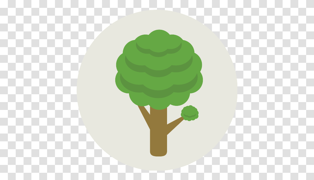 Tree Icon 78 Repo Free Icons Icon, Sphere, Green, Rattle, Plant Transparent Png