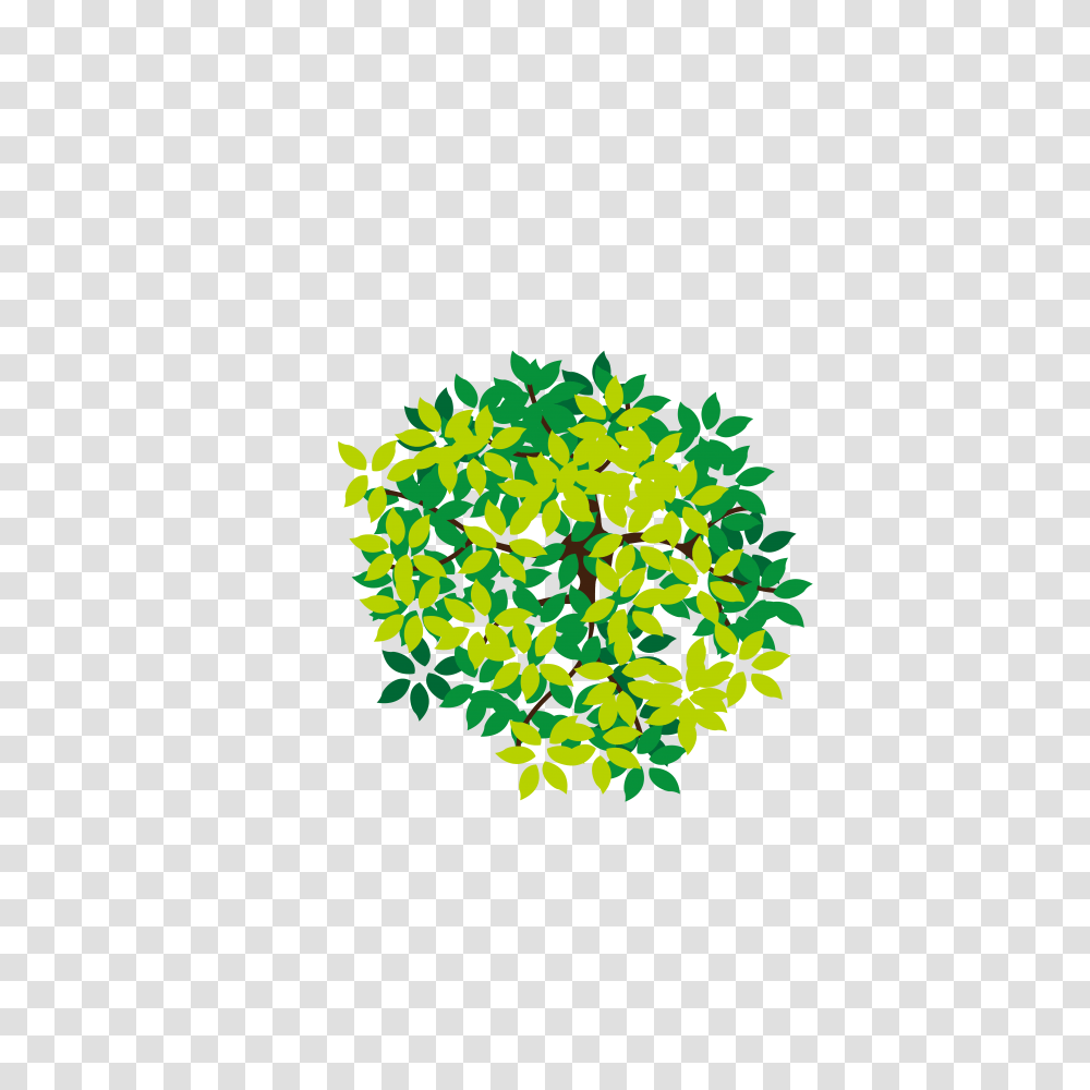 Tree Icon Download Free Clipart Tree Icon Top View, Green, Potted Plant, Vase, Jar Transparent Png