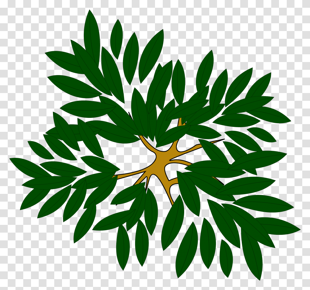 Tree Icon Tree Clump Clipart Icon Tree Icon Top Tree Top View Clipart, Leaf, Plant, Flower, Blossom Transparent Png
