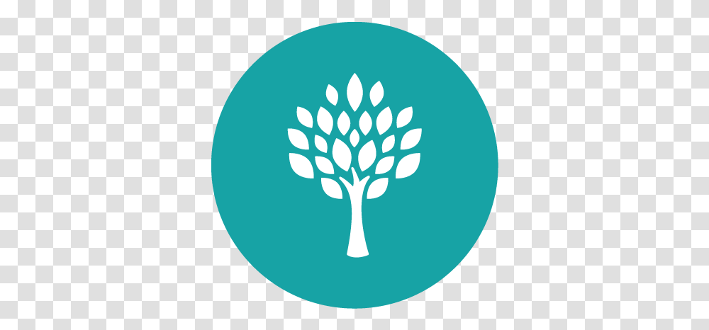 Tree Icon Woodlands Christian Centre Full Size Tree Circle Icon, Plant, Balloon, Seed, Grain Transparent Png