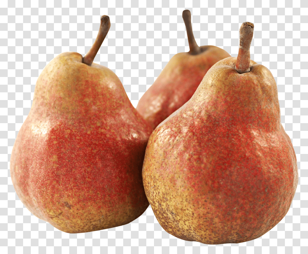 Tree Image Fruit, Pear, Plant, Food Transparent Png