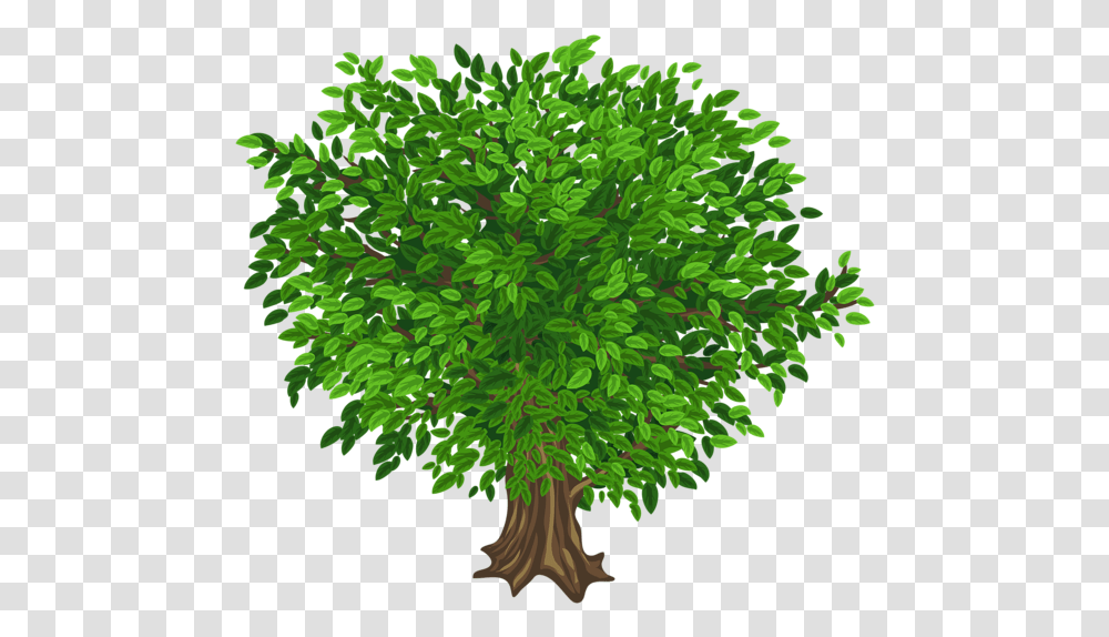 Tree Images Background Tree Without Back Ground, Plant, Leaf, Green, Pattern Transparent Png