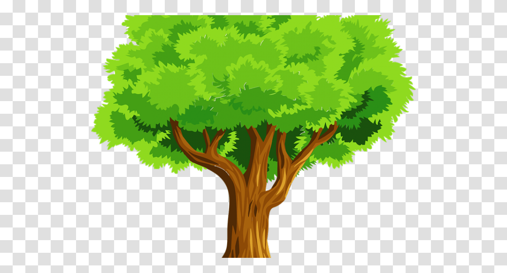 Tree Images Free Clip Art Of A Tree, Plant, Vegetation, Green, Bird Transparent Png