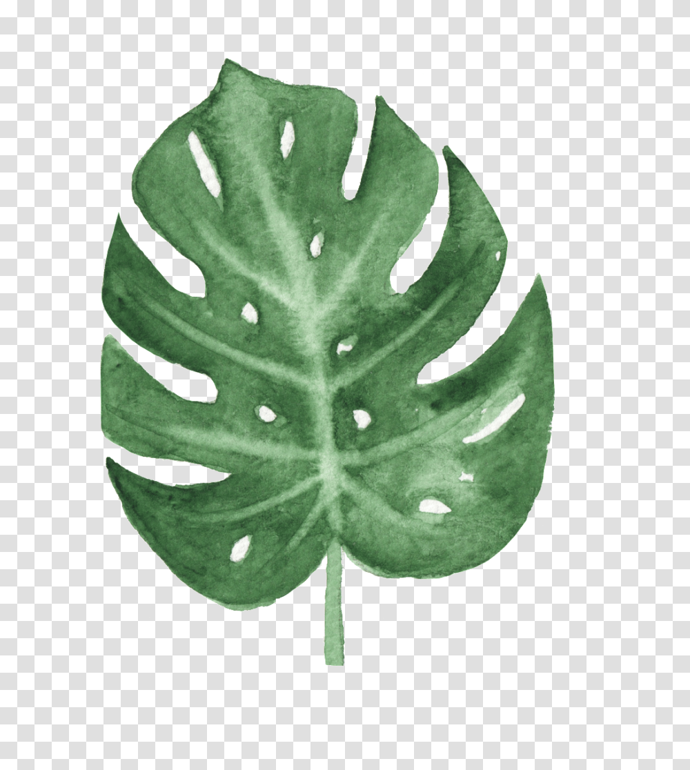 Tree Images Free Download Heypik, Leaf, Plant, Droplet, Veins Transparent Png
