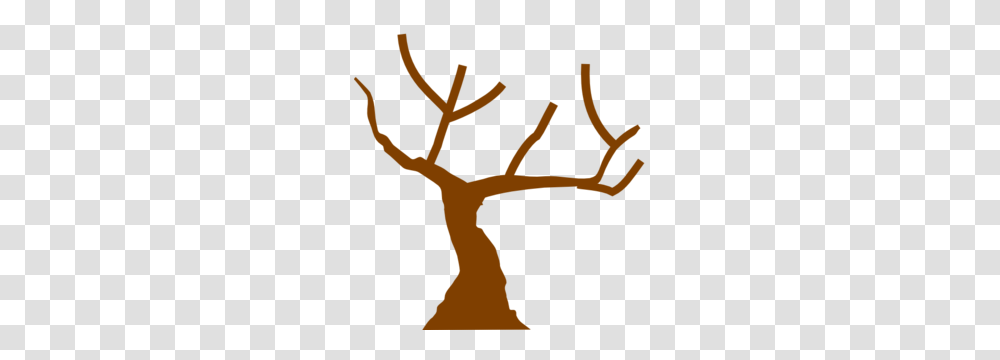Tree Images Icon Cliparts, Antler, Coat Rack Transparent Png