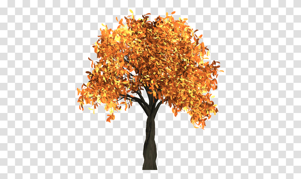 Tree Images Quality Background Autumn Tree Clipart, Plant, Maple, Leaf, Honey Bee Transparent Png
