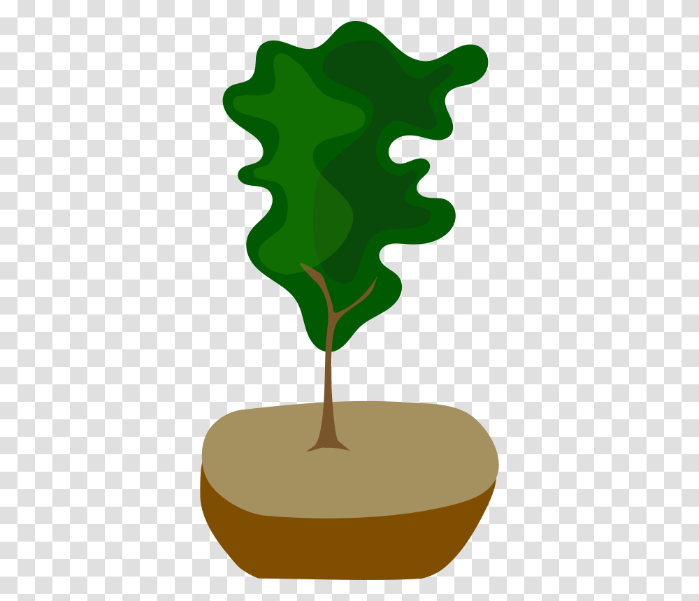 Tree In Pot, Nature, Plant, Flower, Blossom Transparent Png