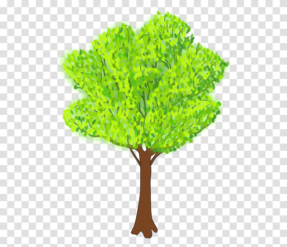 Tree In Summer Summer Tree Clip Art, Leaf, Plant, Fungus, Ornament Transparent Png