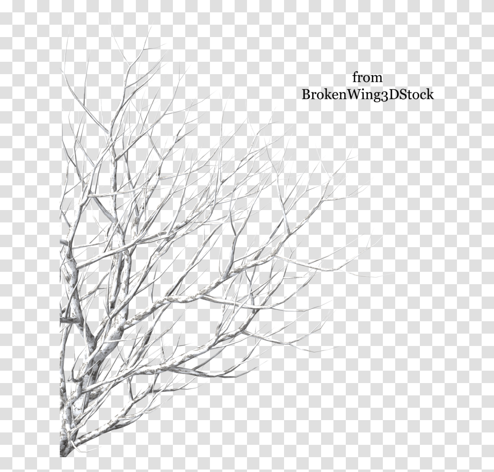 Tree In Winter 3 Image Trees With Snow Pngs, Nature, Outdoors, Ice, Frost Transparent Png