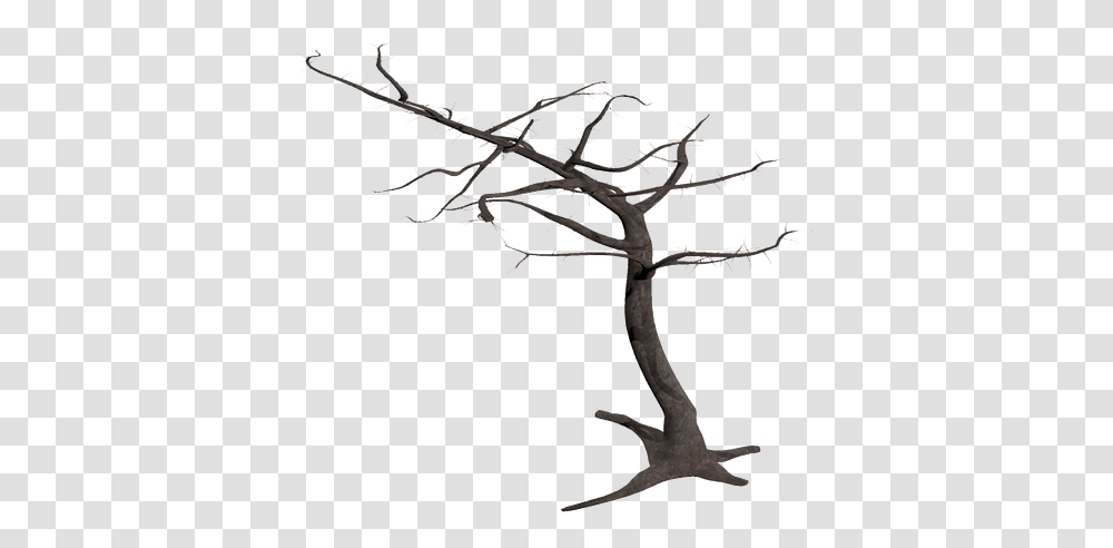 Tree Isolated Dead Plant Weathered Old Morsch Dead Tree Branches, Cross, Flower, Blossom Transparent Png