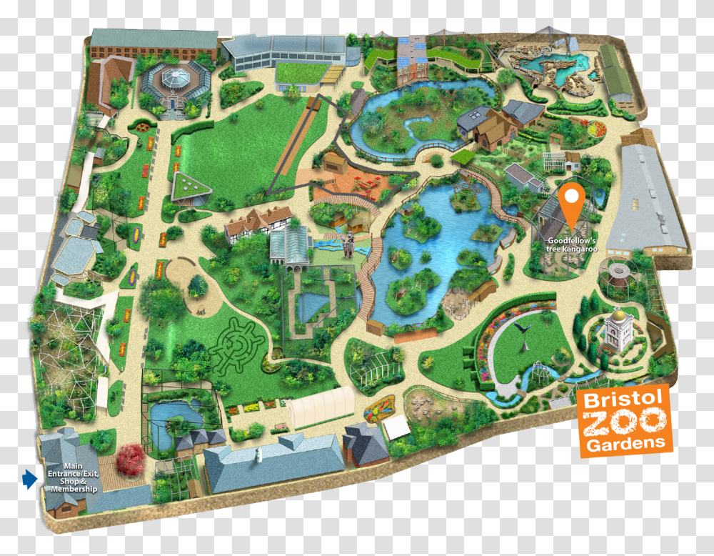 Tree Kangaroo Bristol Zoo Bristol Zoo Lion Enclosure, Amusement Park, Water, Theme Park, Rug Transparent Png