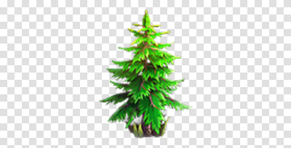 Tree Knights And Brides Wiki Fandom Boreal Conifer, Plant, Pine, Fir, Abies Transparent Png