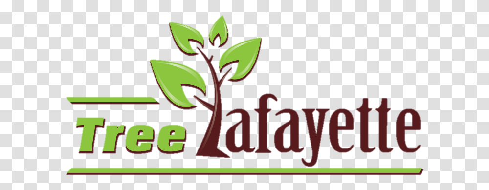 Tree Lafayette Non Profit Trees Lafayette In Usa Graphic Design, Text, Graphics, Art, Plant Transparent Png