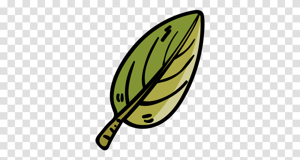 Tree Leaf Cartoon Icon Folha De Arvore Desenho, Plant, Food, Vegetable, Fruit Transparent Png