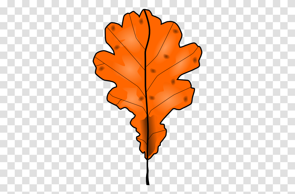 Tree Leaf Clip Art, Plant, Maple, Maple Leaf, Veins Transparent Png