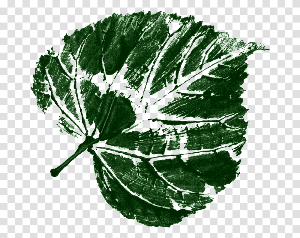 Tree, Leaf, Plant, Green, Geranium Transparent Png