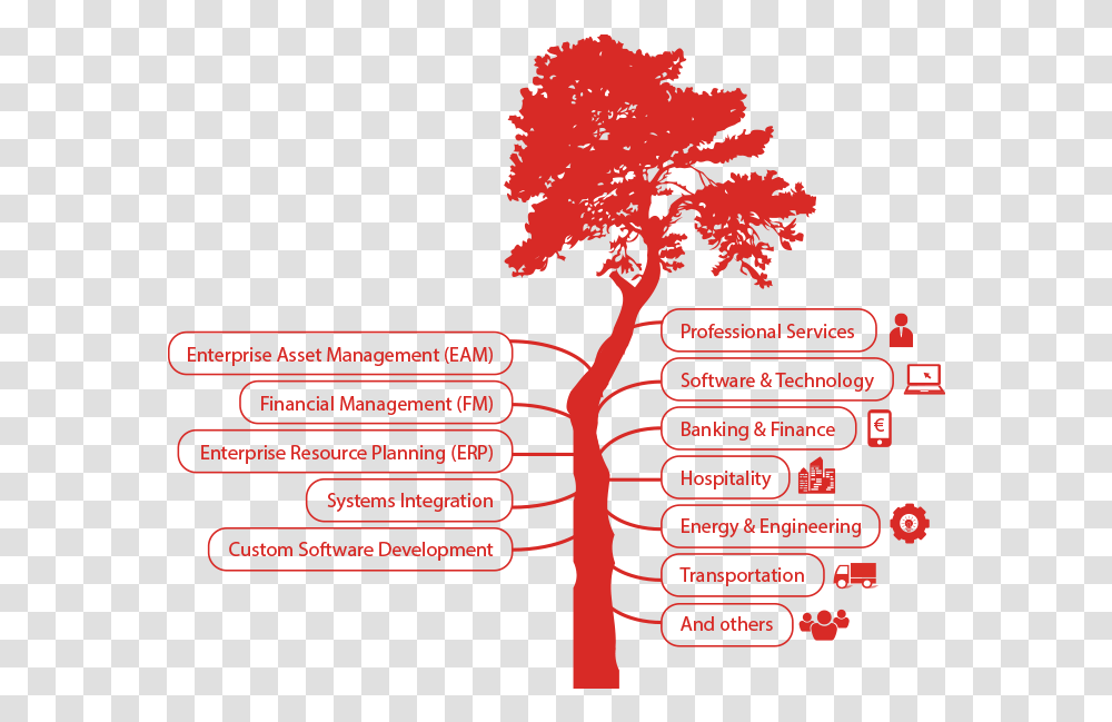 Tree, Leaf, Plant, Maple Transparent Png