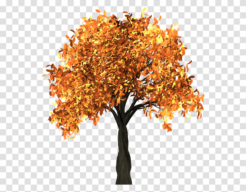 Tree Leaves Autumn Fall Branches Isolated Nature Tall Fall Tree Clipart, Plant, Maple, Chandelier, Lamp Transparent Png