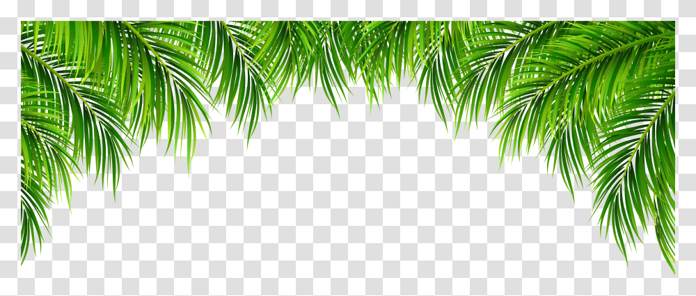 Tree Leaves Background Palm Leaves Transparent Png