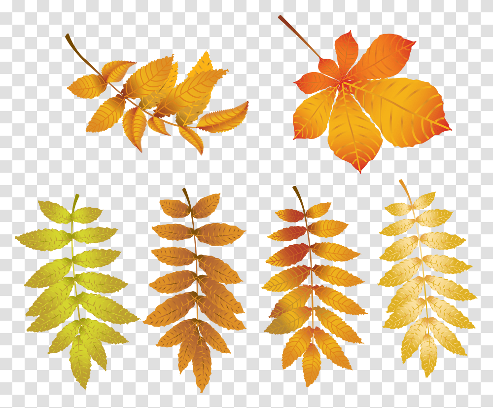 Tree Leaves Transparent Png