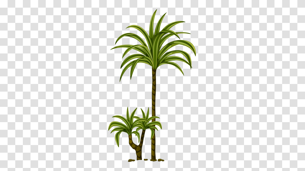 Tree Leaves Tree Of Life, Plant, Palm Tree, Arecaceae, Flower Transparent Png