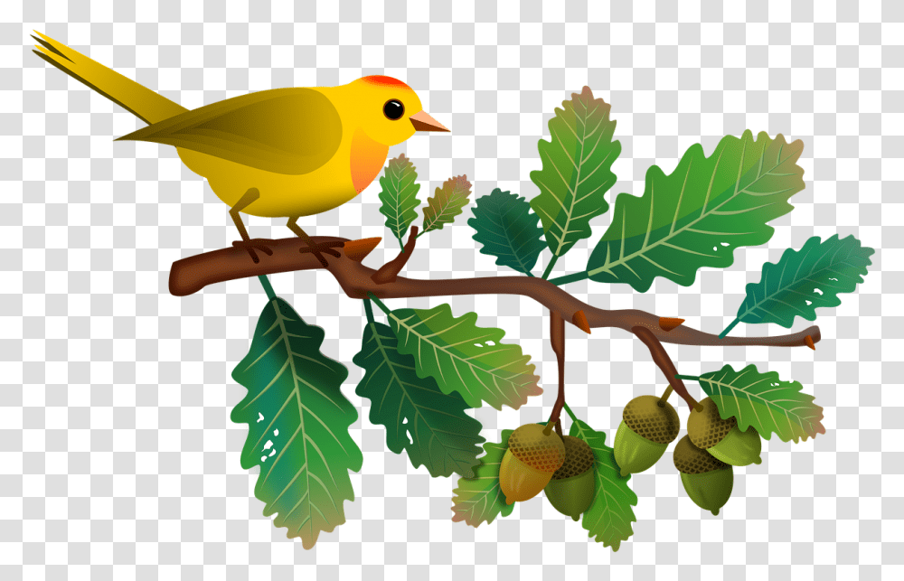 Tree Limb Bird In Tree Clipart, Plant, Animal, Grain, Produce Transparent Png