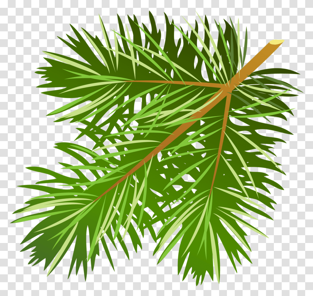 Tree Limb Pine Tree Leaves Free, Leaf, Plant, Green, Conifer Transparent Png