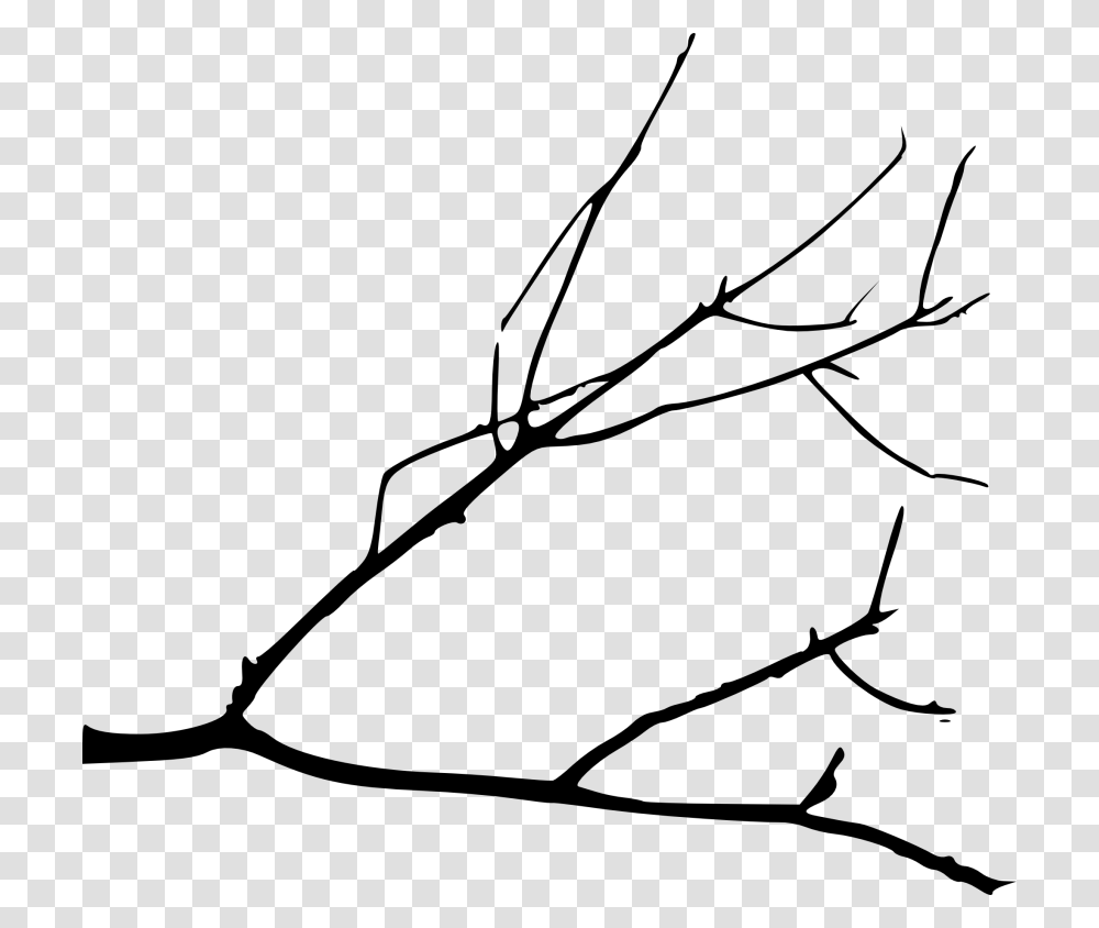 Tree Limb Tree Branches Drawing, Plant, Insect, Invertebrate, Animal Transparent Png