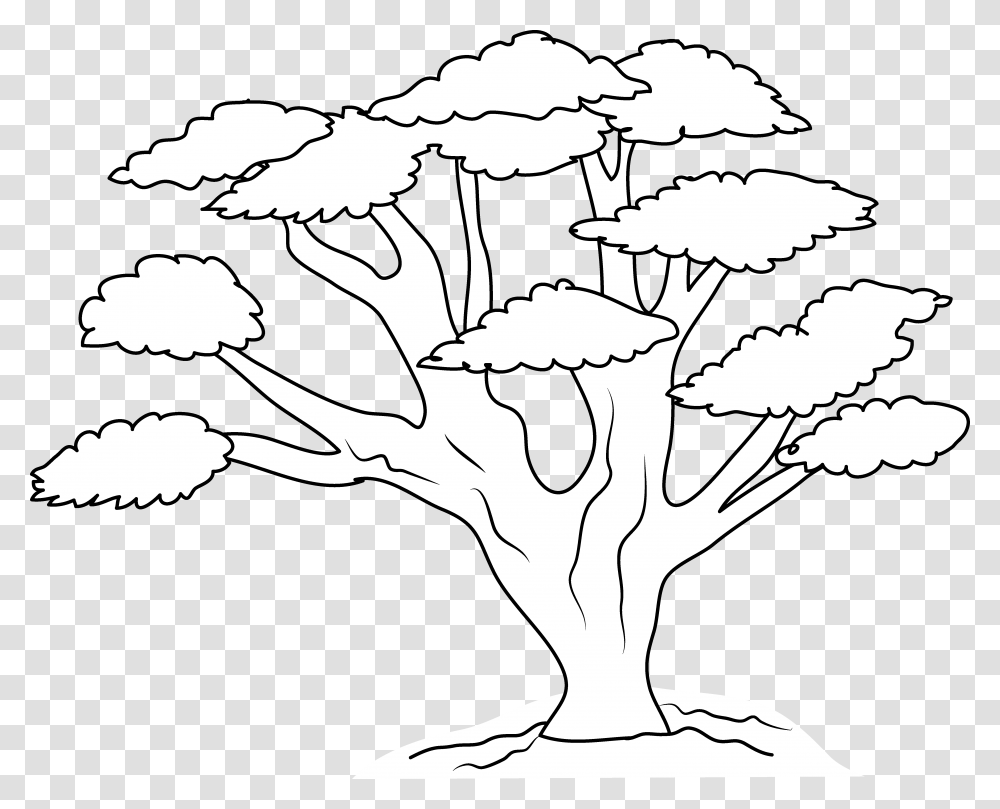 Tree Line Art 9 550 X 438 Webcomicmsnet Big Tree Coloring, Plant, Drawing, Flower, Blossom Transparent Png