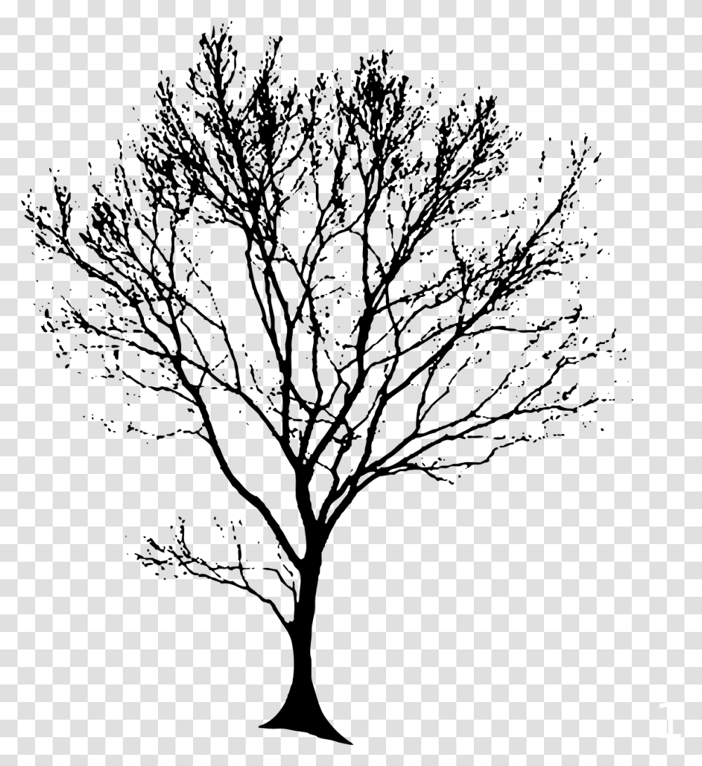 Tree Line Drawing, Gray, World Of Warcraft Transparent Png