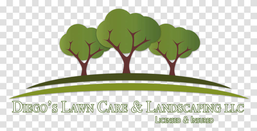 Tree Logo, Label, Vegetation, Plant Transparent Png