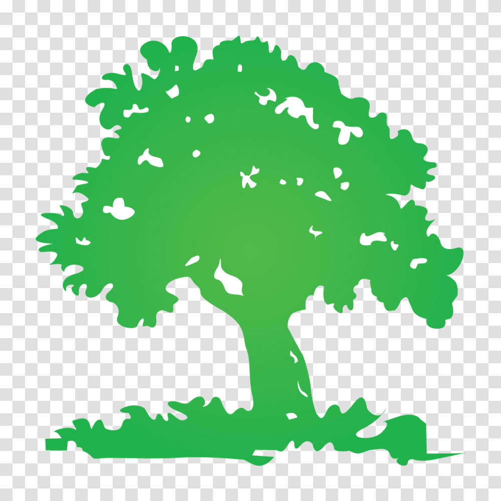 Tree Logos, Plant, Rug Transparent Png