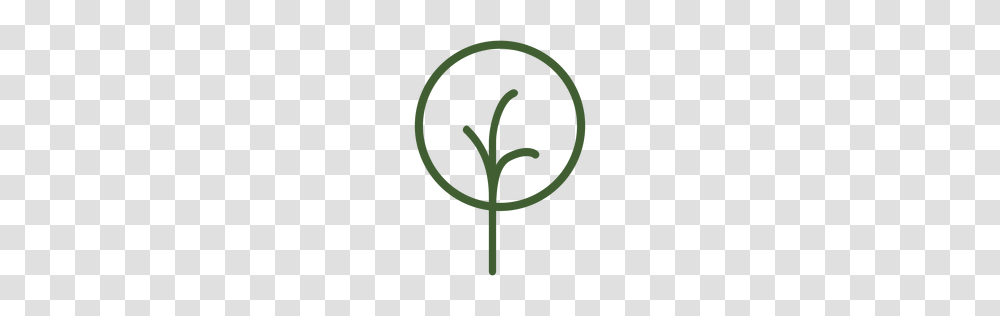 Tree Logos To Download, Plant, Vegetable, Food Transparent Png